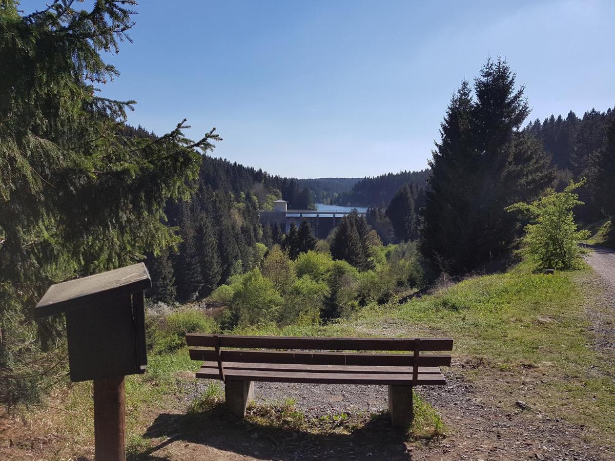 Villa Heidi Braunlage Bagian luar foto